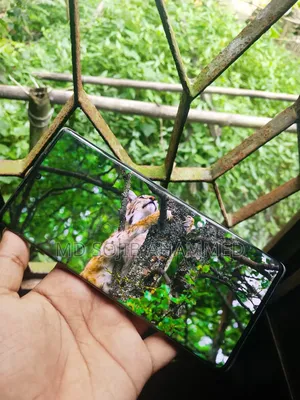 টেকনো ফ্যান্টম এক্স২ ৫জি ২৫৬ জিবি ধূসর