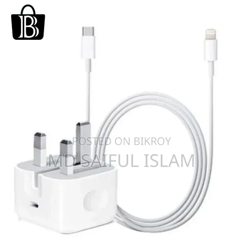 Original iPhone Charger