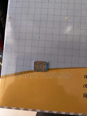 Old Sim 01701