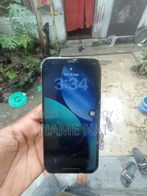 Apple iPhone 12 Pro 256 GB Gray