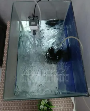 অ্যাকোয়ারিয়াম এবং মাছ