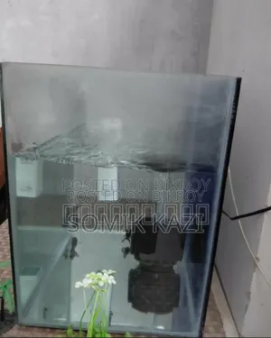 অ্যাকোয়ারিয়াম এবং মাছ