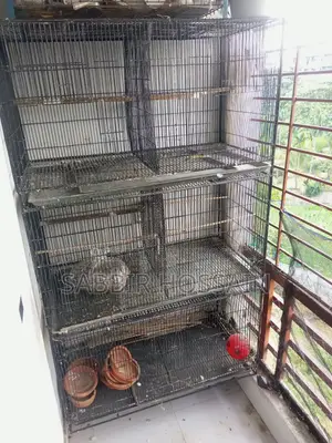 ১৮,৩৬ সাইজেট একটি ৩ তলা খাচা বিক্রি করা হবে