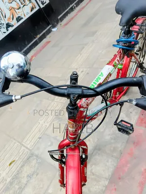 Running Cycle