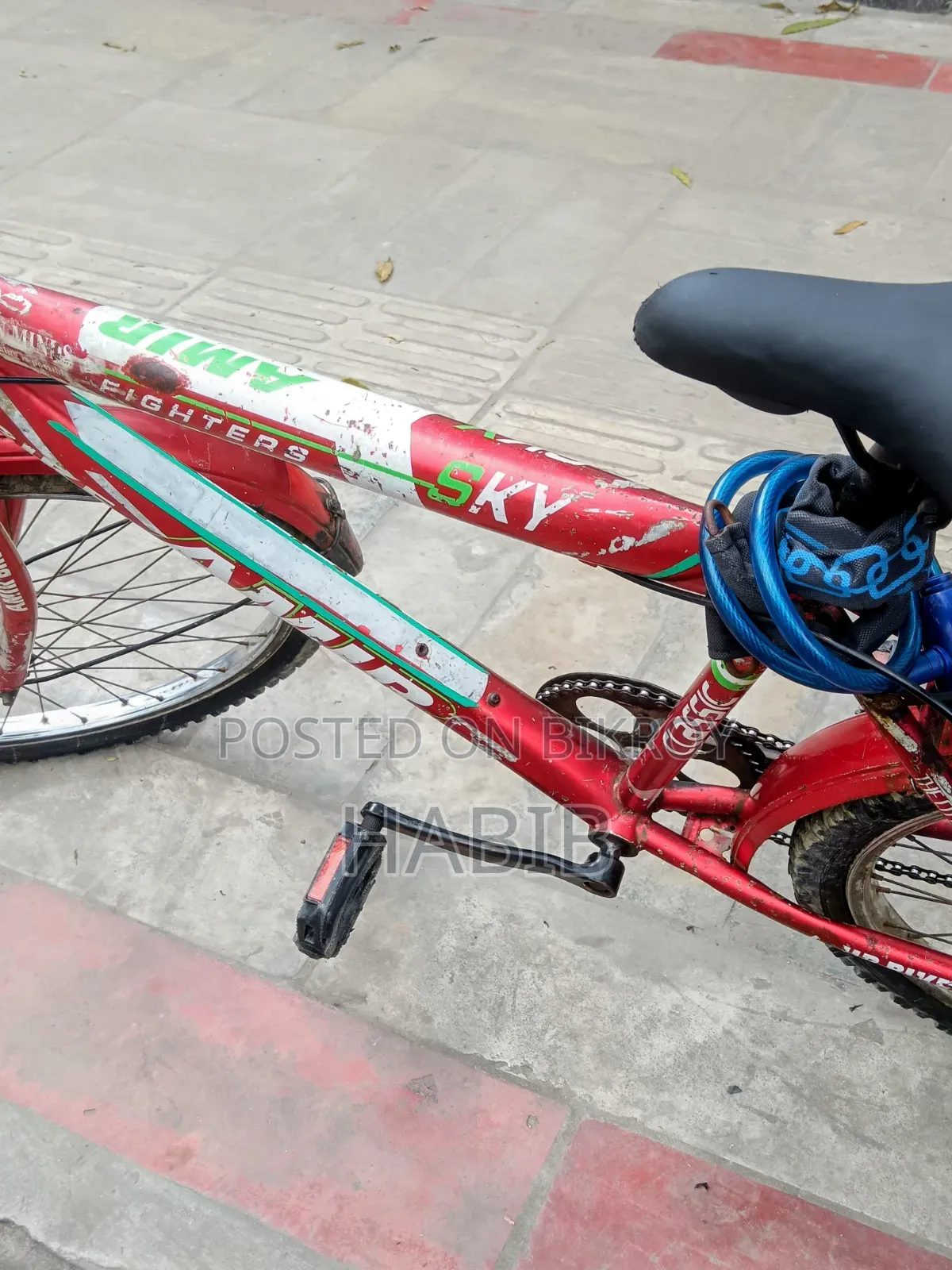 Running Cycle