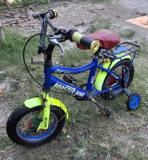 Little Kids Bicycle Size 12