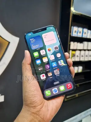 Apple iPhone 12 Pro Max 256 GB Blue