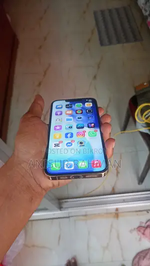 অ্যাপল আইফোন ১৩ প্রো ২৫৬ জিবি গোল্ড