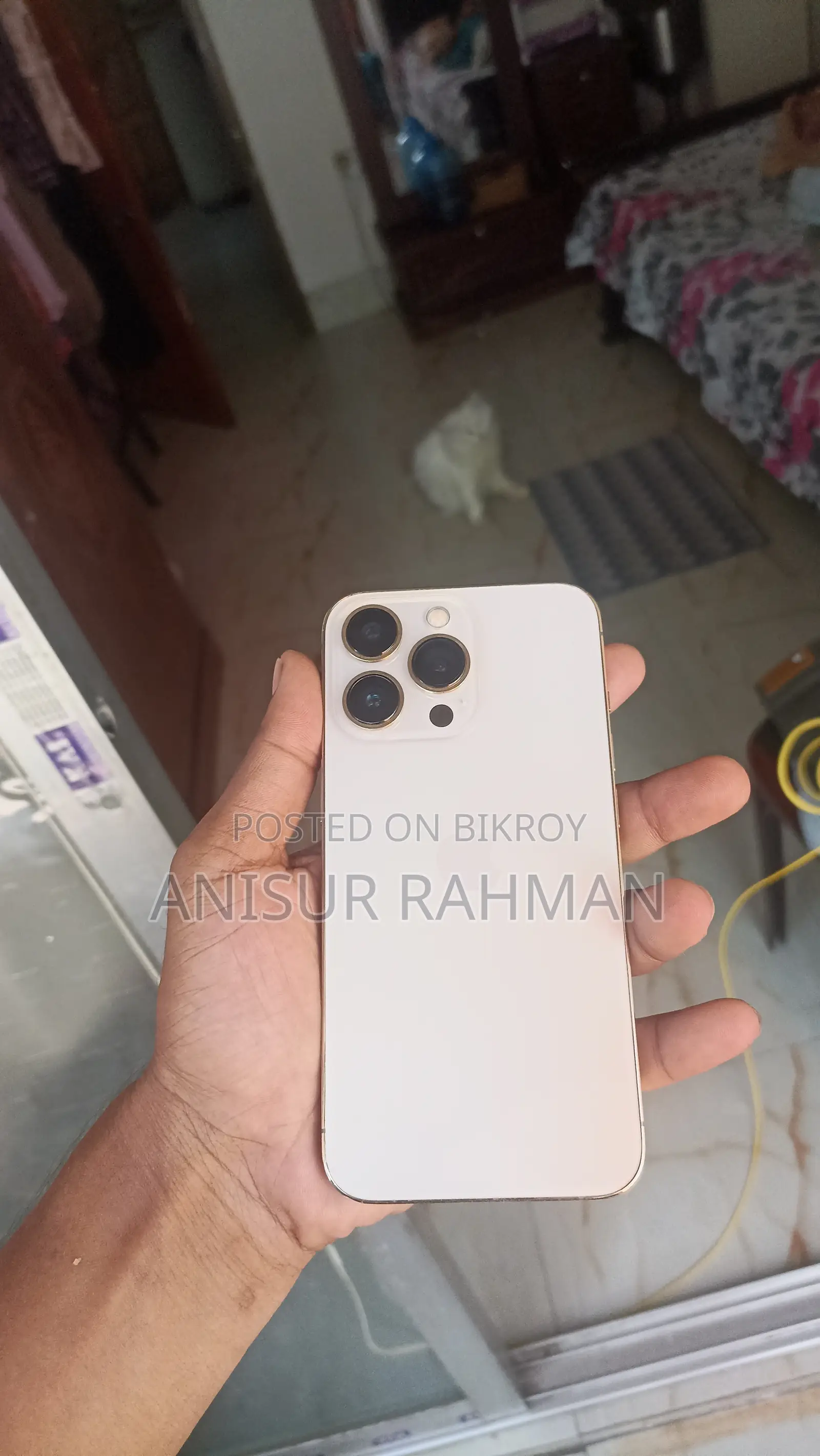অ্যাপল আইফোন ১৩ প্রো ২৫৬ জিবি গোল্ড