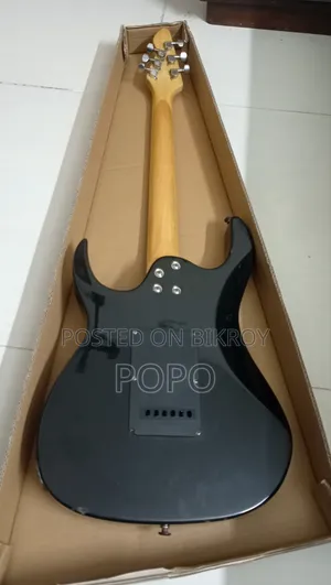 Electric Guitar