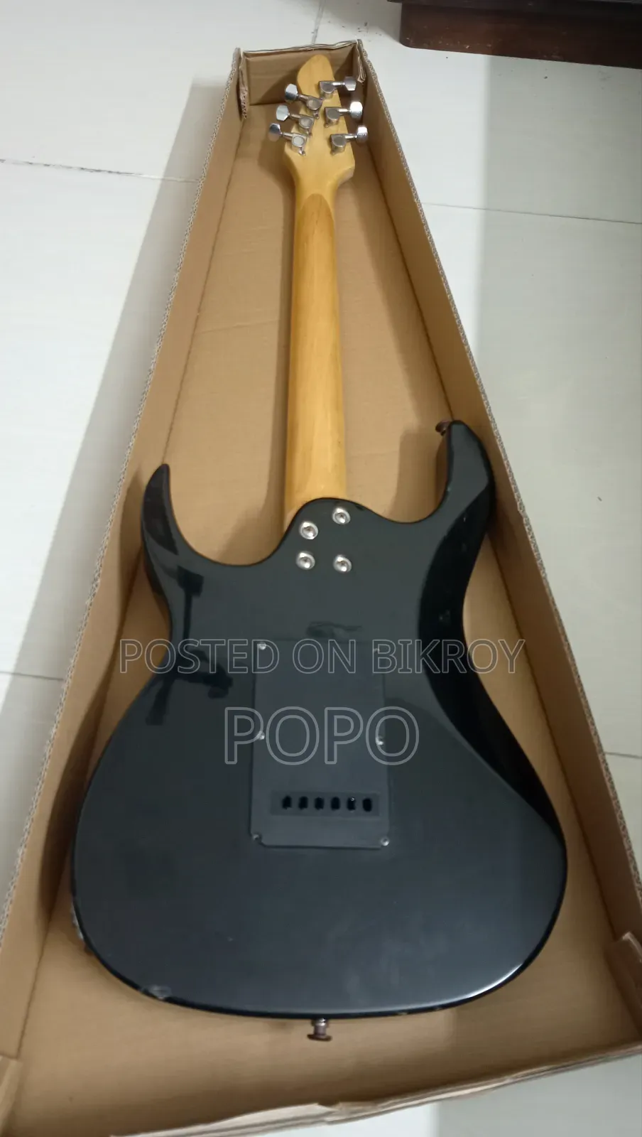 Electric Guitar