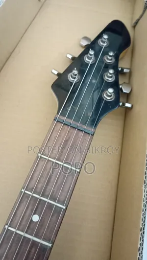 Electric Guitar