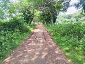 সিলিকন সিটি বড়বড়দেশী