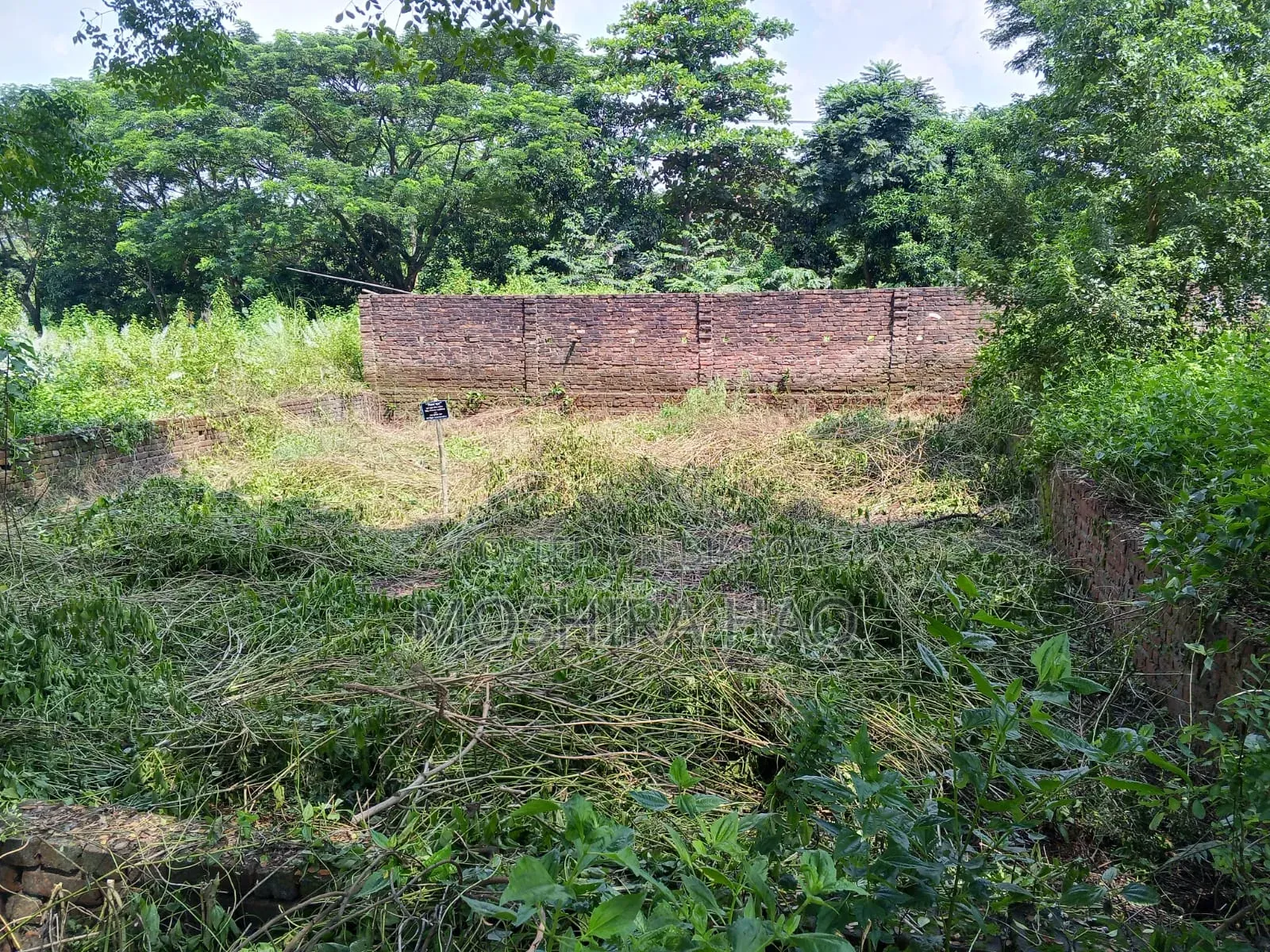 সিলিকন সিটি বড়বড়দেশী