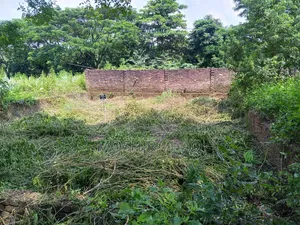 সিলিকন সিটি বড়বড়দেশী