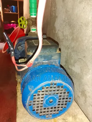 ডি সোয়ান দের ঘোরা মটর