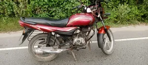 বাজাজ প্লাটিনা ১০০ ২০১৫ লাল