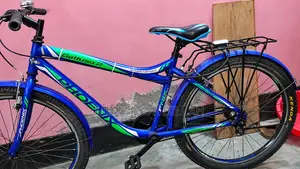 Phoenix Bicycle for Sale