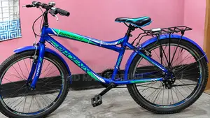 Phoenix Bicycle for Sale
