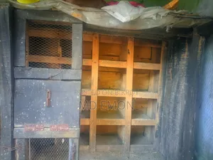 Pigeon House / Loft