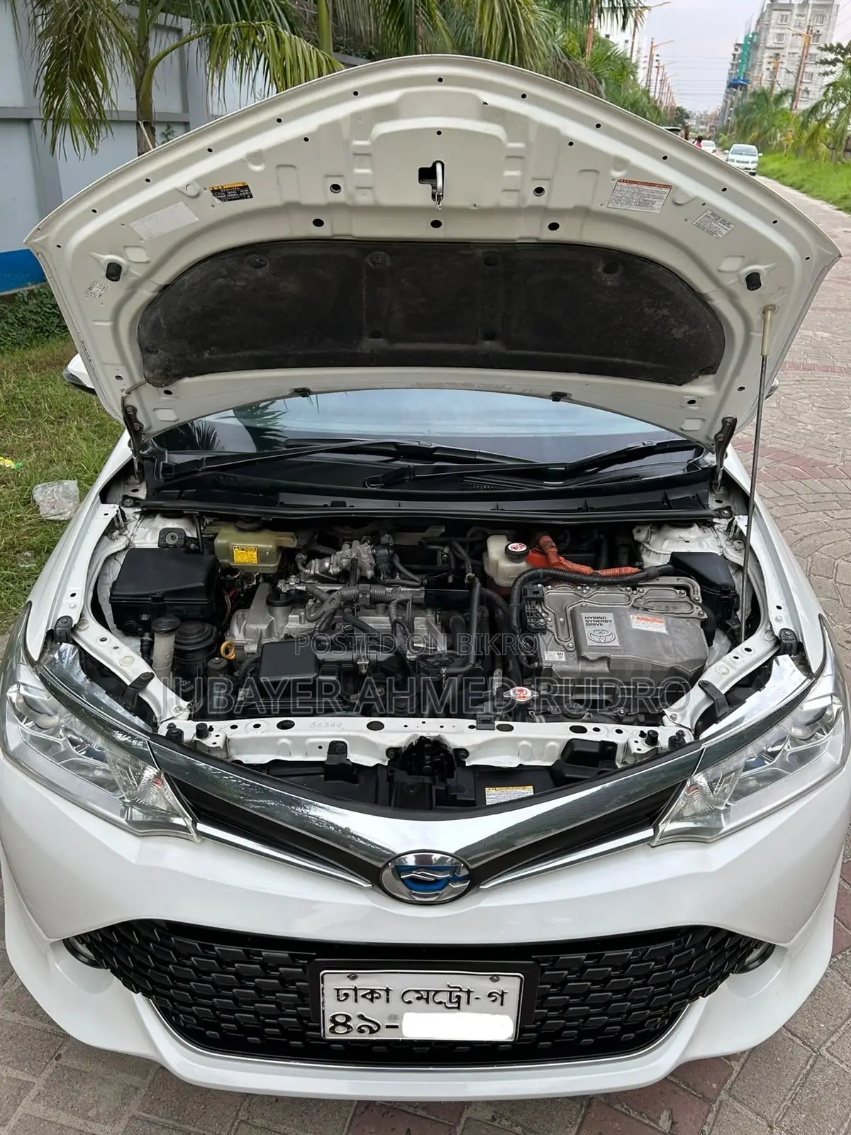 টয়োটা এক্সিও ২০১৭ পার্ল
