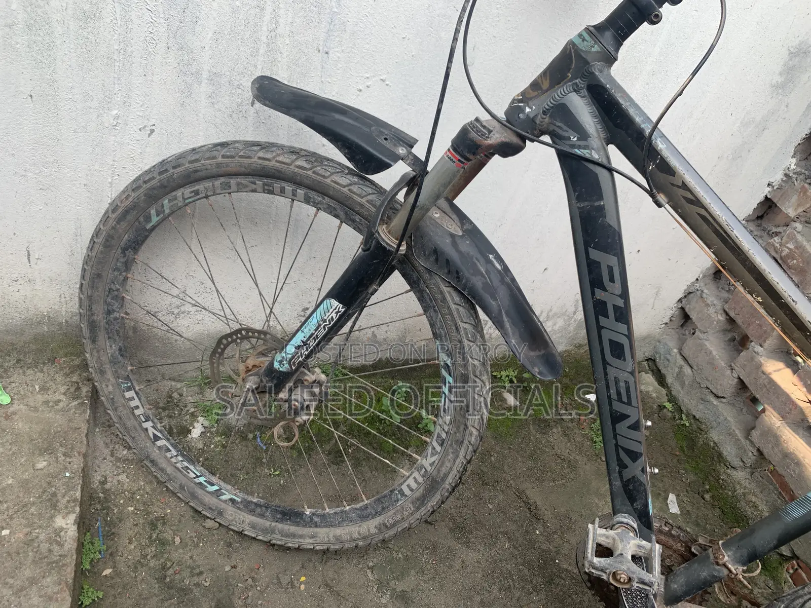 Phoenix Cycle
