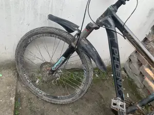 Phoenix Cycle