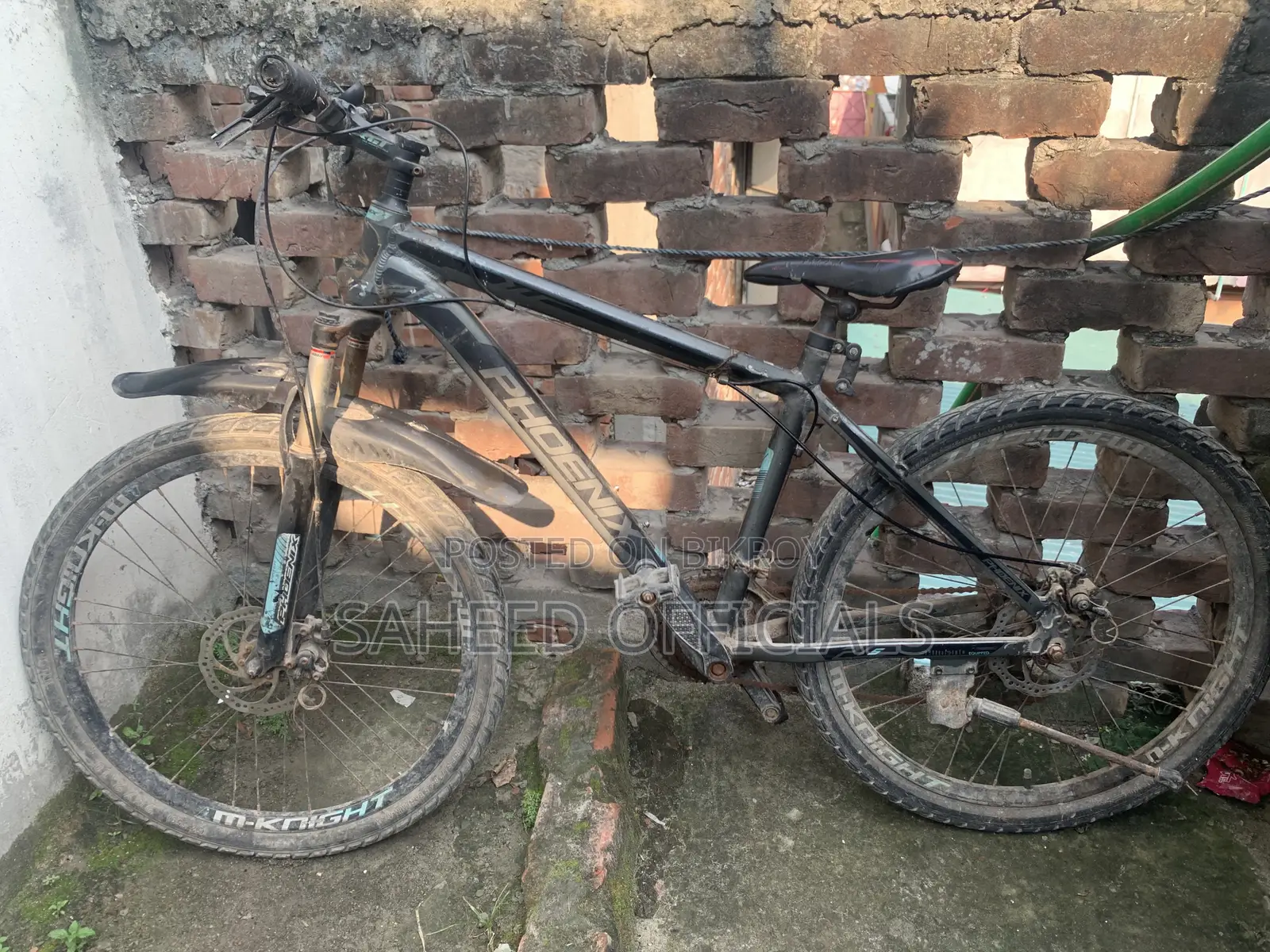 Phoenix Cycle