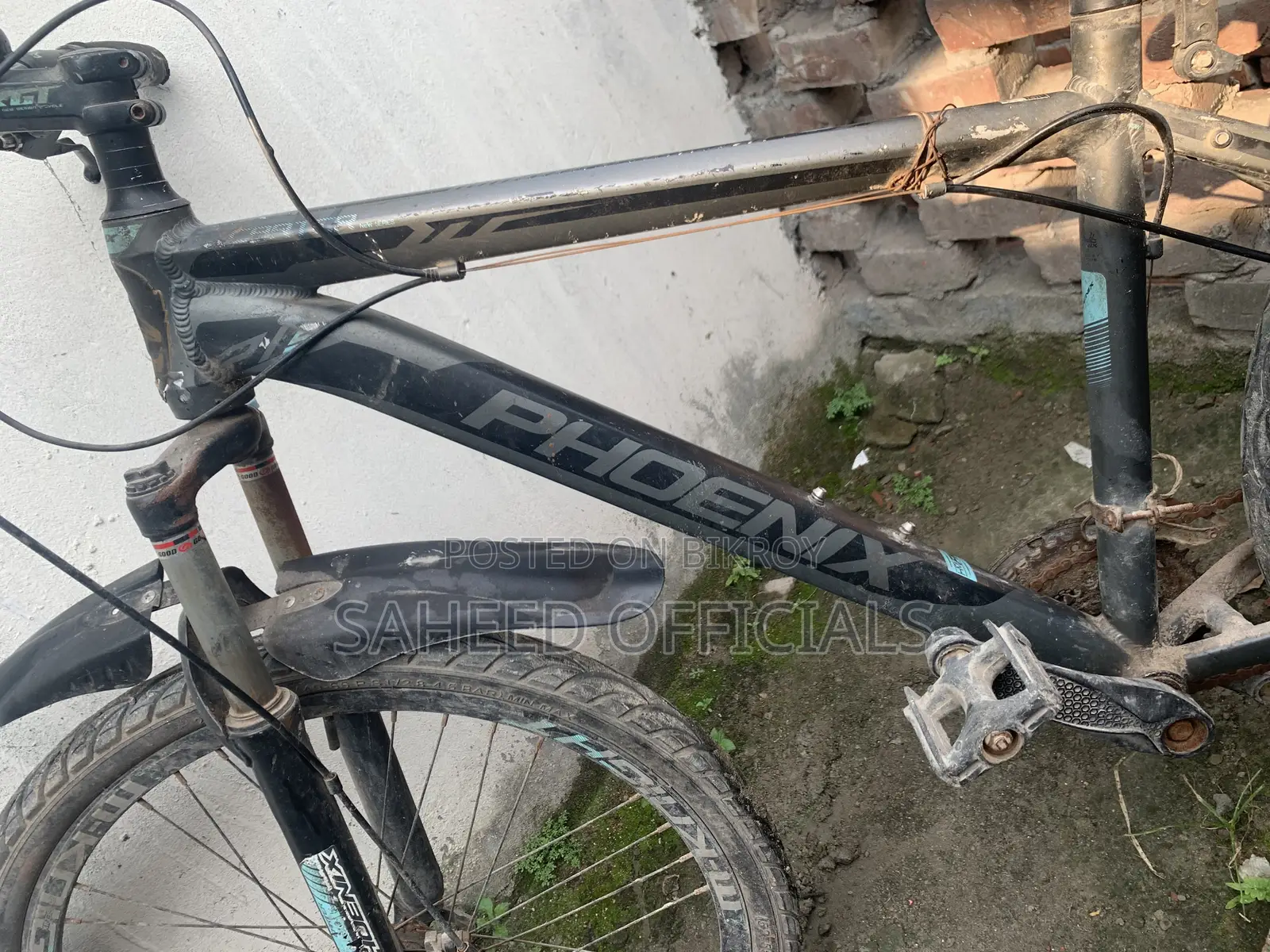 Phoenix Cycle