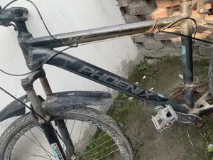 Phoenix Cycle