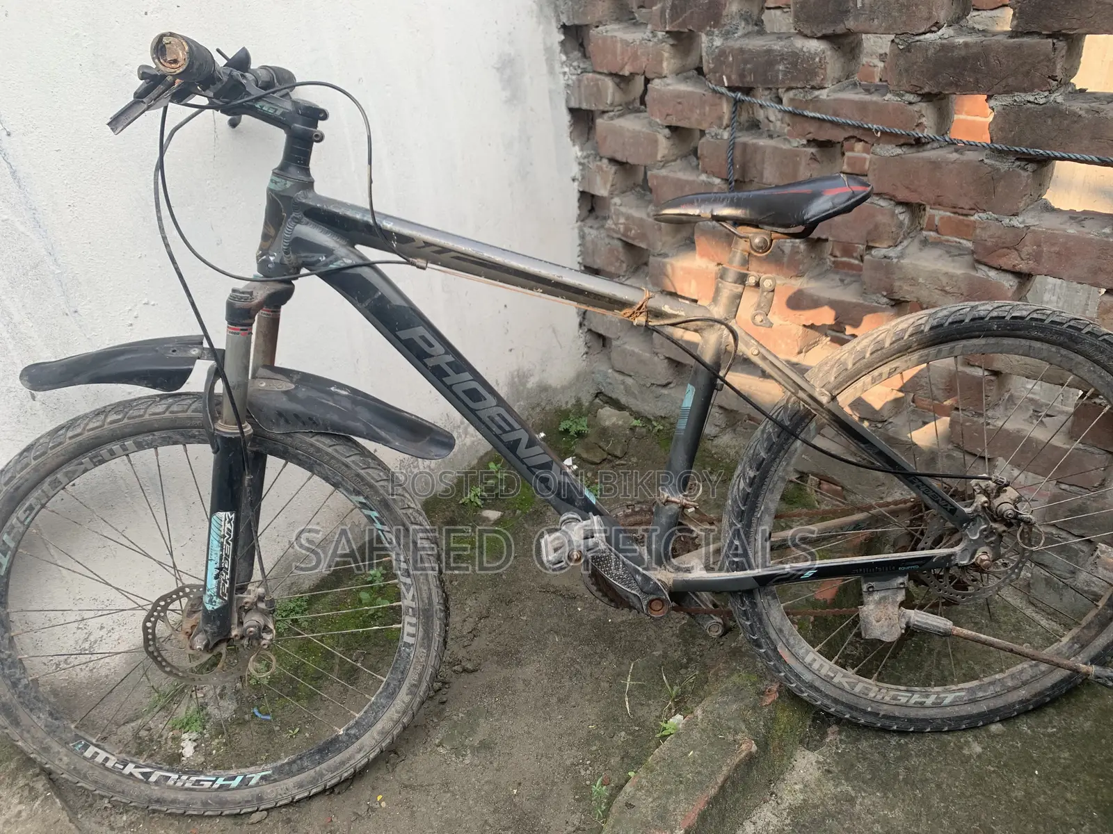 Phoenix Cycle