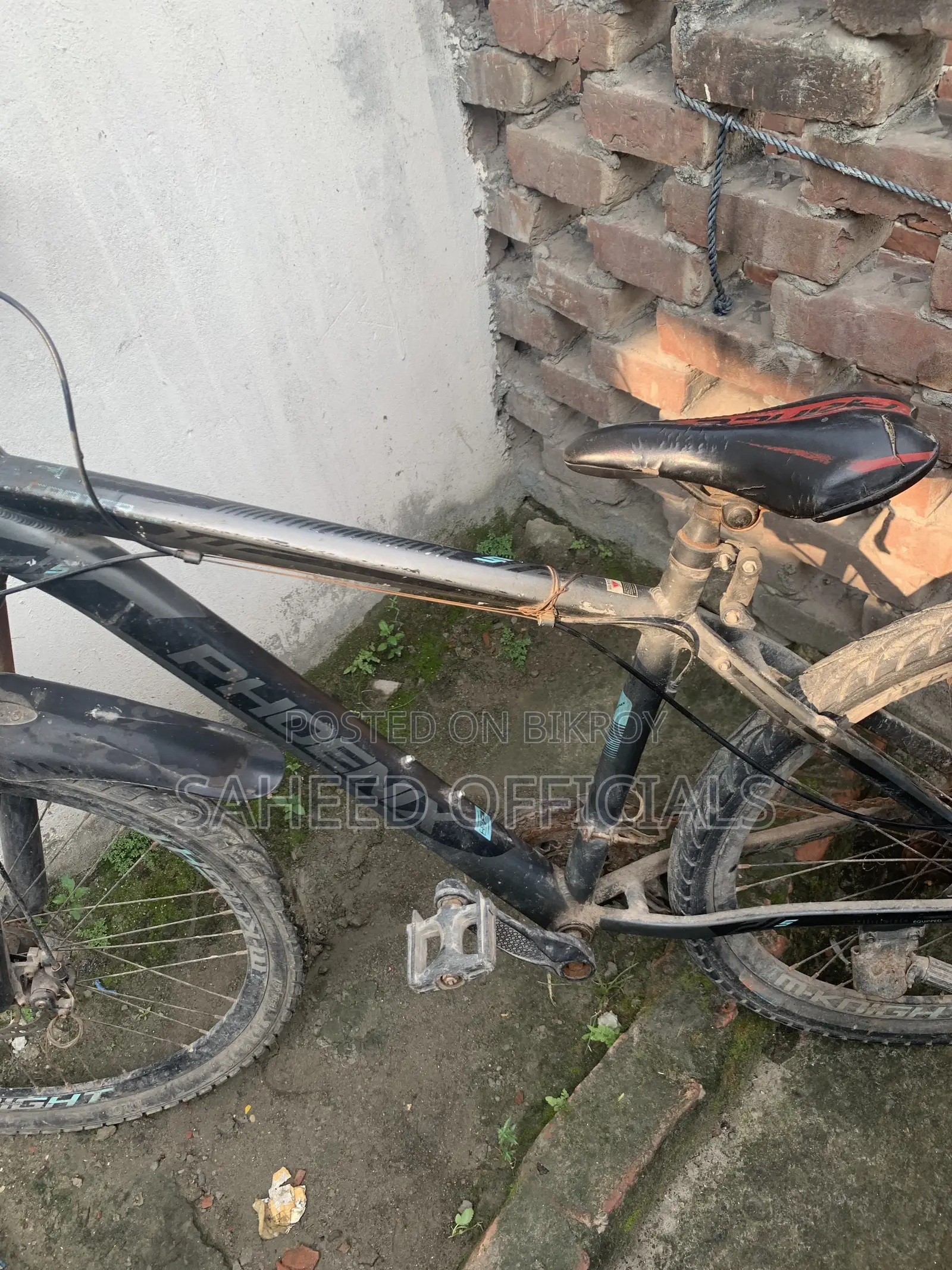 Phoenix Cycle