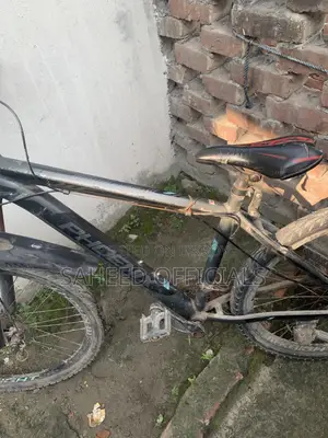 Phoenix Cycle
