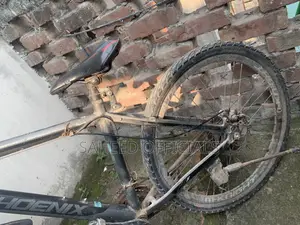 Phoenix Cycle