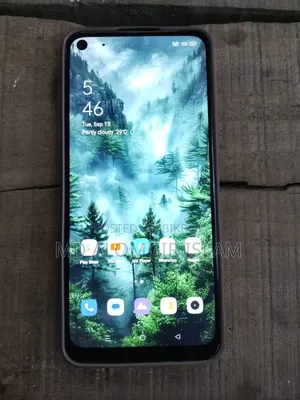 নতুন রিয়েলমি সি১৭ ১২৮ জিবি সবুজ