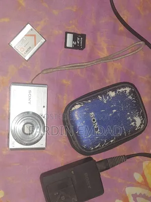 Sony DSC-W610 Digital Camera