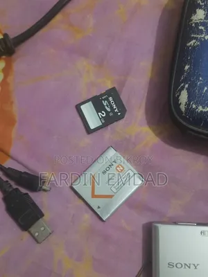 Sony DSC-W610 Digital Camera