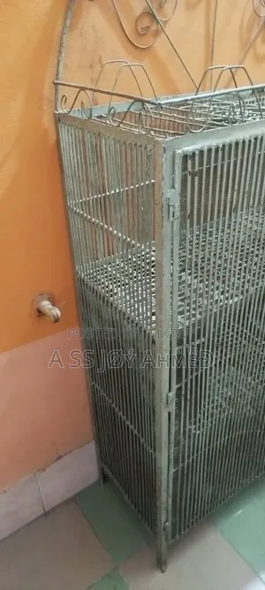 Kitchen Rack