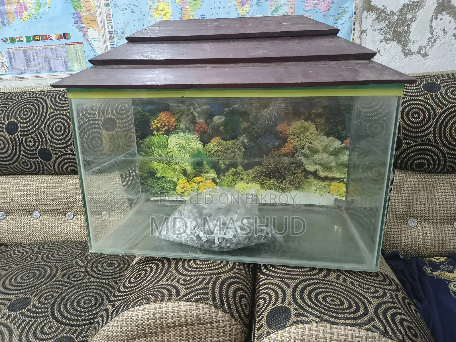 Aquarium