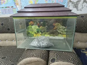 Aquarium
