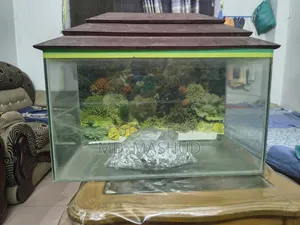 Aquarium