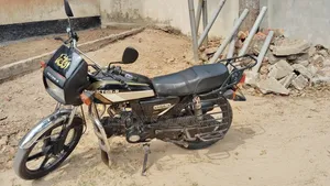 Motorcycle 2009