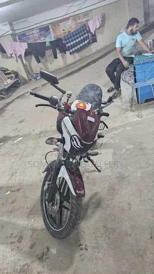 Bajaj 2019 Brown