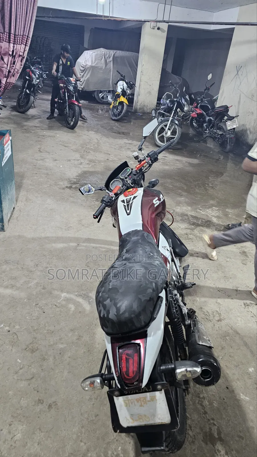 Bajaj 2019 Brown
