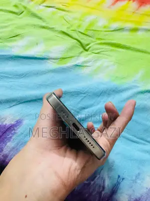 Apple iPhone 15 Pro Max 256 GB Gray