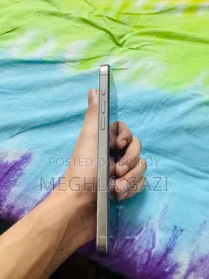 Apple iPhone 15 Pro Max 256 GB Gray