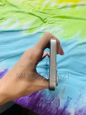 Apple iPhone 15 Pro Max 256 GB Gray