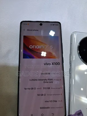 Vivo X100 512 GB