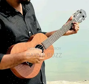 Ukulele Guitar
