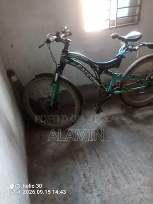 Langer Bicycle